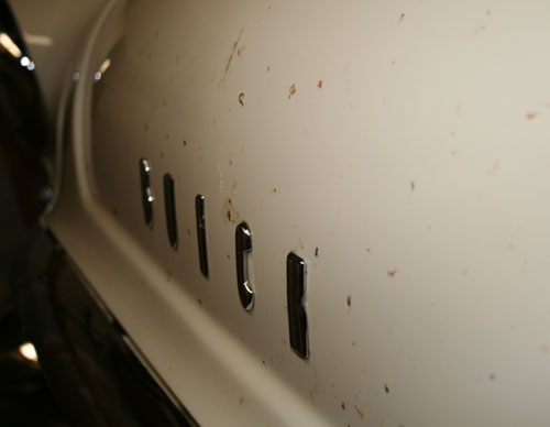 Bugs!